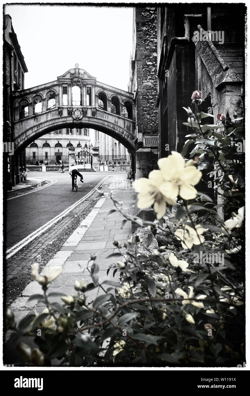 Die Seufzerbrücke oder Hertford Brücke. Hertford College, Oxford, England, Großbritannien Stockfoto