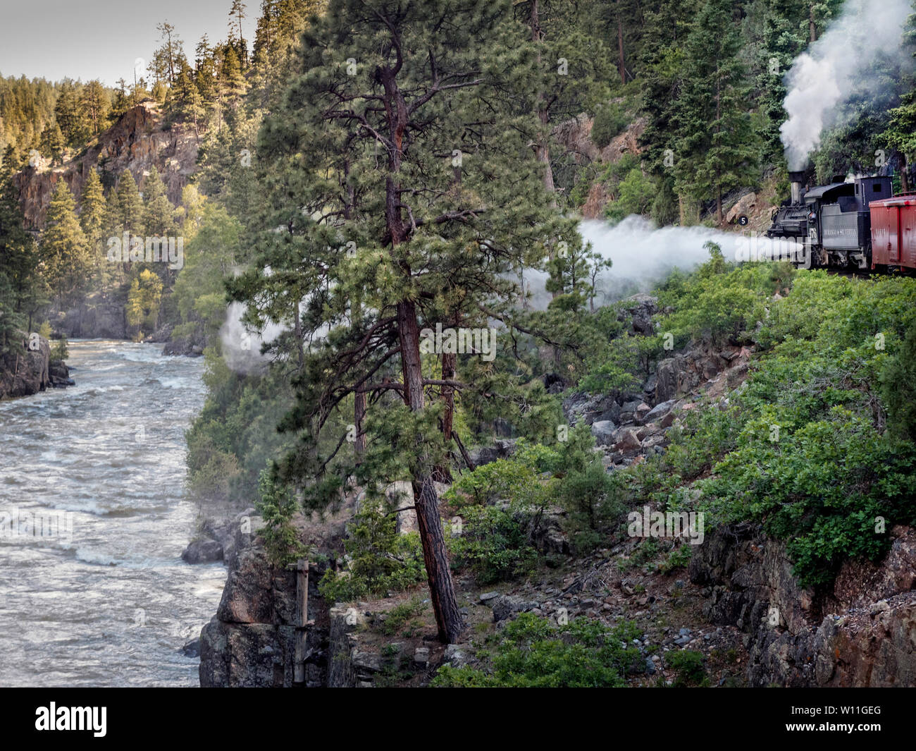 Durango & Silverton Railroad Bahn macht seinen Weg in Durango/Colorado USA Stockfoto