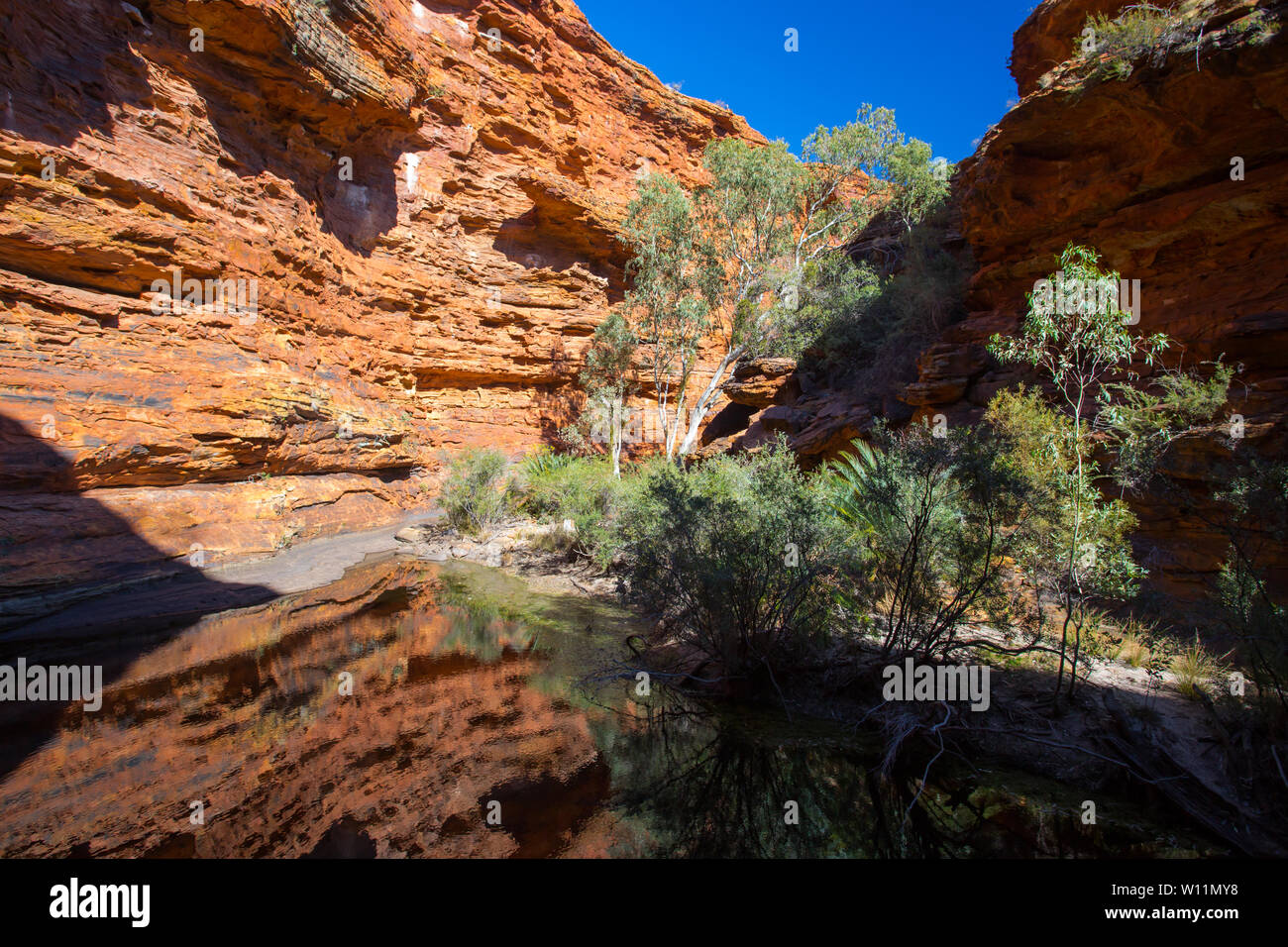 Der Garten Eden am Kings Canyon im Northern Territory, Australien Stockfoto