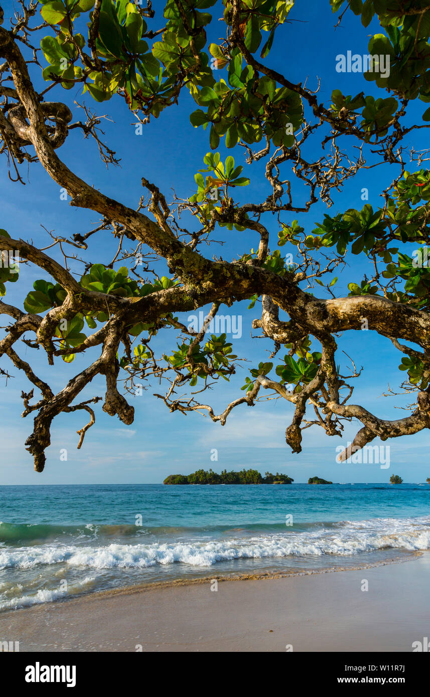 Turtle Beach, Insel Bastimentos, Bocas del Toro Archipel, Provinz Bocas del Toro, Panama, Mittelamerika, Nordamerika Stockfoto