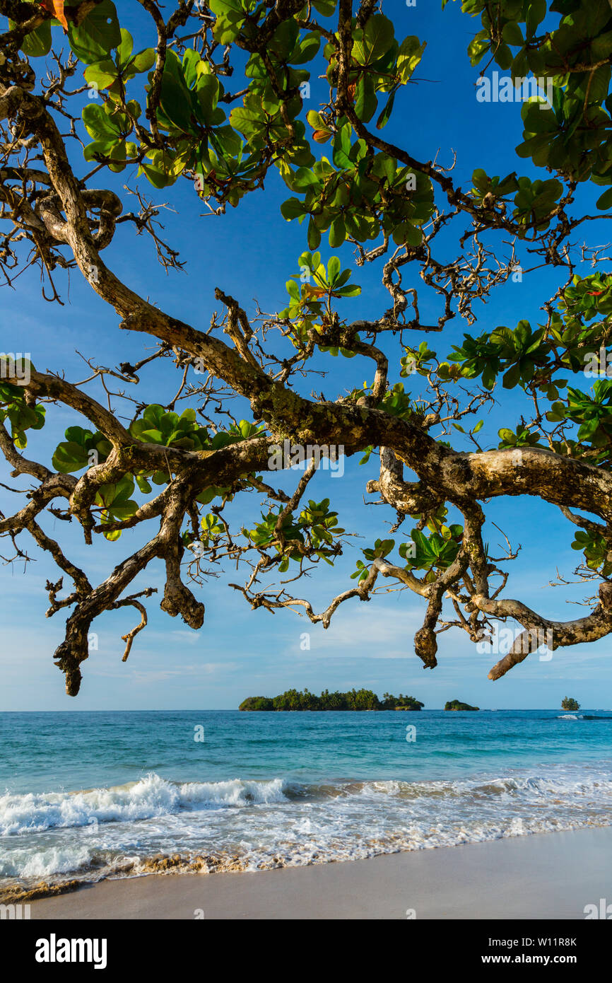 Turtle Beach, Insel Bastimentos, Bocas del Toro Archipel, Provinz Bocas del Toro, Panama, Mittelamerika, Nordamerika Stockfoto