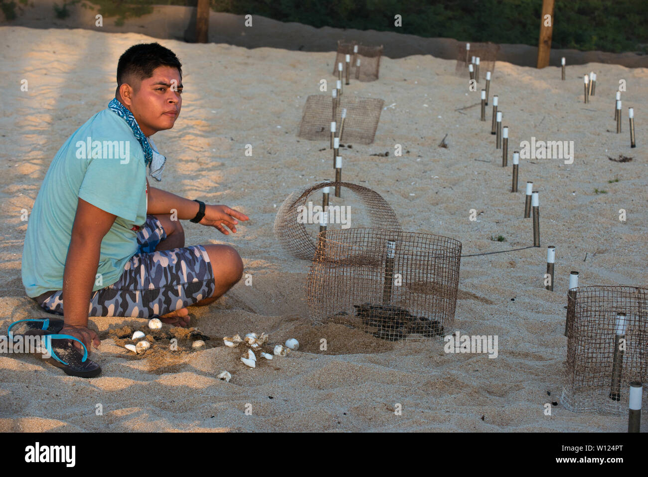 Schildkröten Nistplatz. Playa Mayto, Jalisco. Mexiko Stockfoto