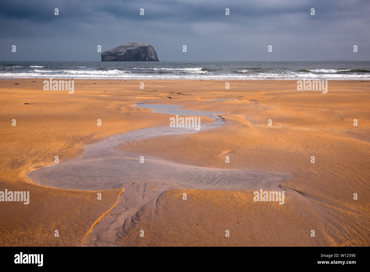 Bass Rock und Seacliff Beach, North Berwick, Schottland Stockfoto