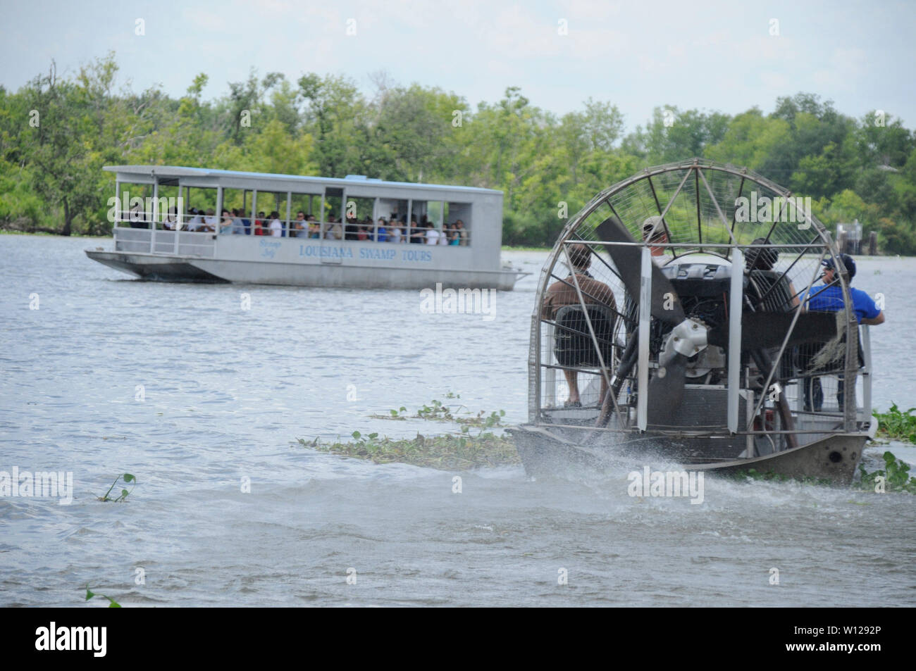 Airboat auf swamp Tour in der Nähe von New Orleans, Louisiana Stockfoto