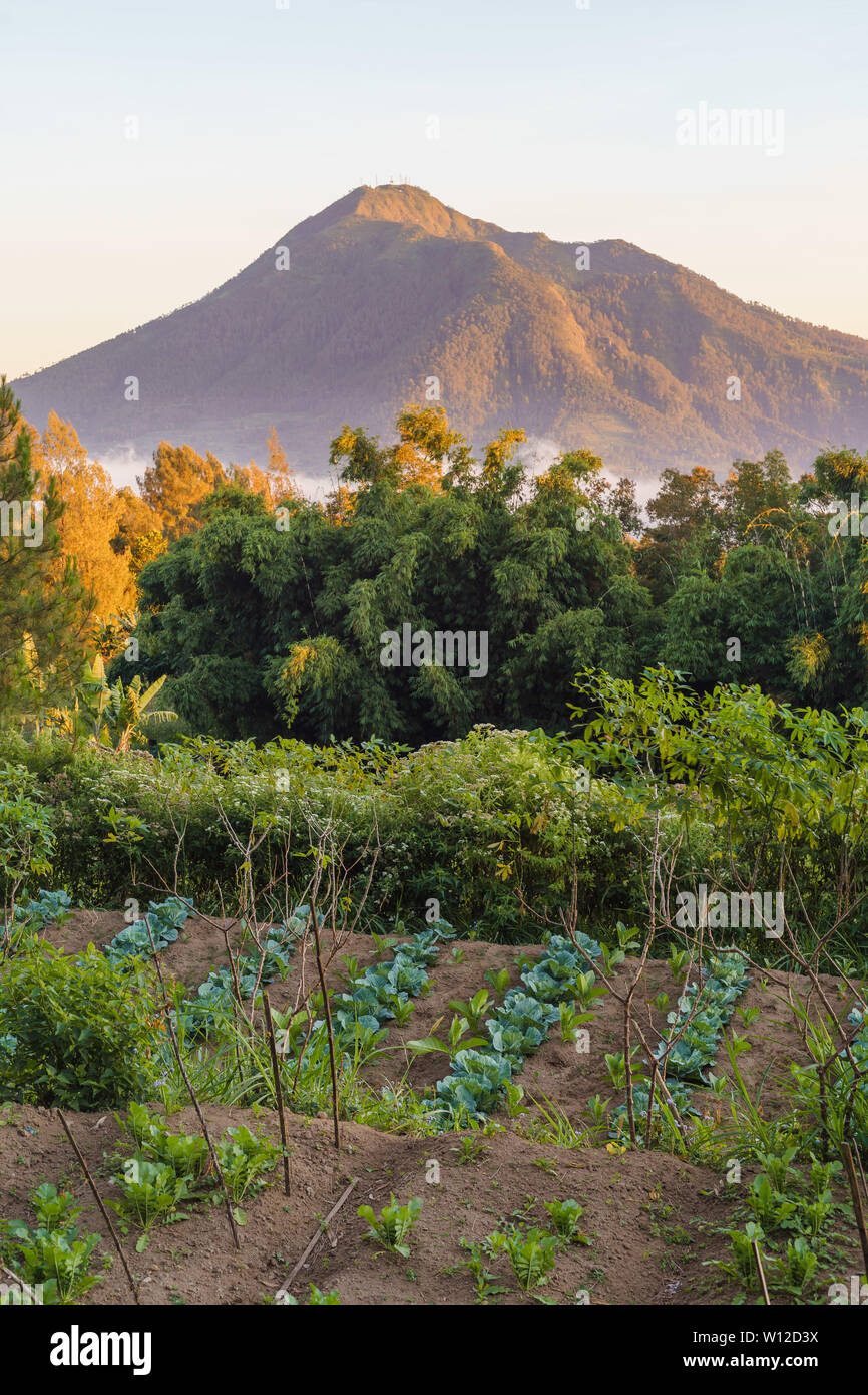 Telomoyo mountain sunrise Blick von Semarang, Indonesien Stockfoto