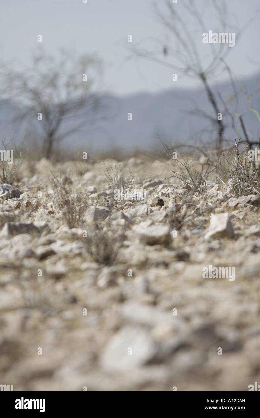 Las sequ' als en el estado Desrtico llevaron a este Panorama de la presa Abelardo L.' Rodr guez, se Esperança tandeos del Agua para el pr-ximo a-o Cuando los posos Con Los que se abastece agotarse Estn por la Ciudad. Stockfoto