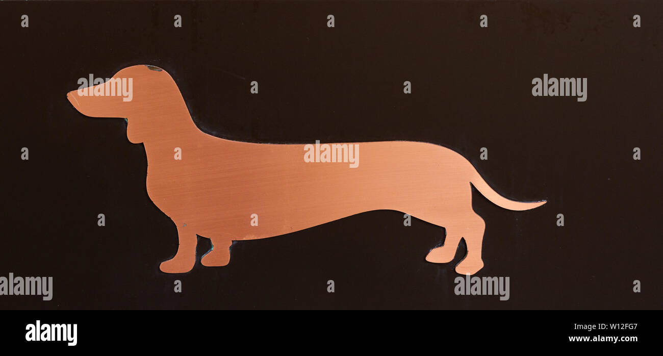 Kupfer glänzend Überblick über einen Dackel oder Wiener Würstchen Hund oder Hund Stockfoto