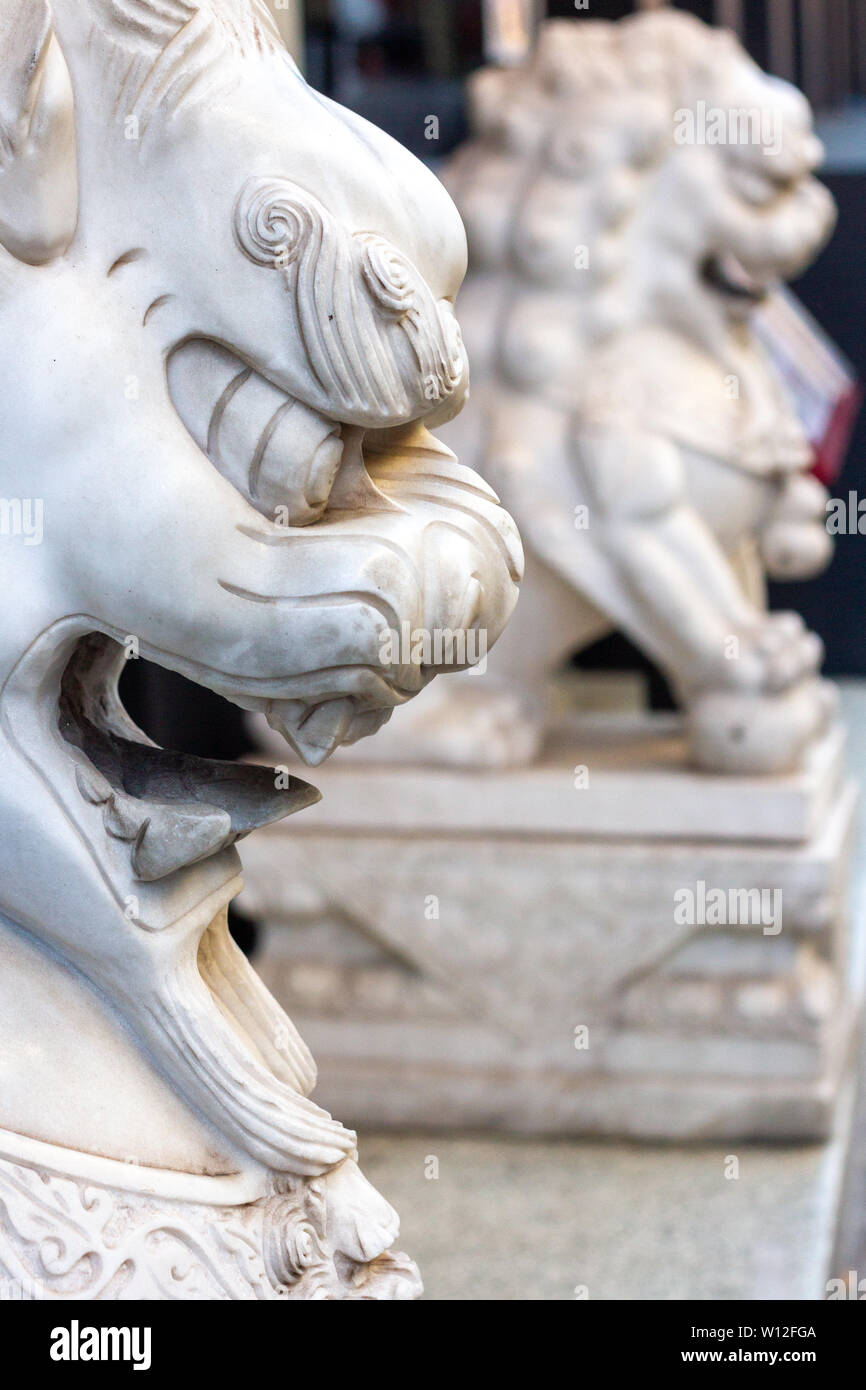 Zwei weiße Statuen der Chinesischen Löwen bewacht, die im Profil gesehen Stockfoto