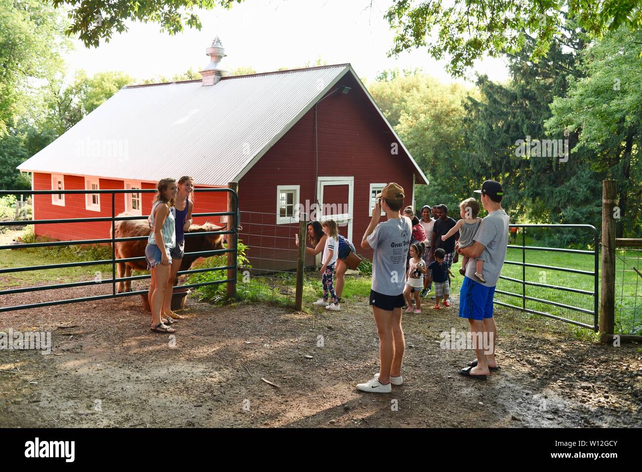 Besucher touring Farm, das Aufnehmen von Fotos und selfies mit Nutztieren in der Nähe von roten Schuppen nach dem essen Pizza an Squash Blossom Farm, Oronoco, Minnesota, USA. Stockfoto