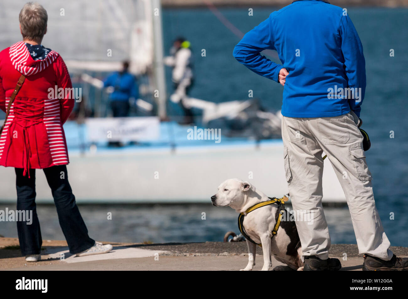 29. Juni 2019. Lerwick, Shetland, Großbritannien. Der Rückflug der Pantaenius - Bergen Shetland Rennen 2019 im hellen Sonnenschein heute als Yachten links Lerwick Hafen in Bergen in Norwegen gebunden. Urban Images-News/Alamy Stockfoto