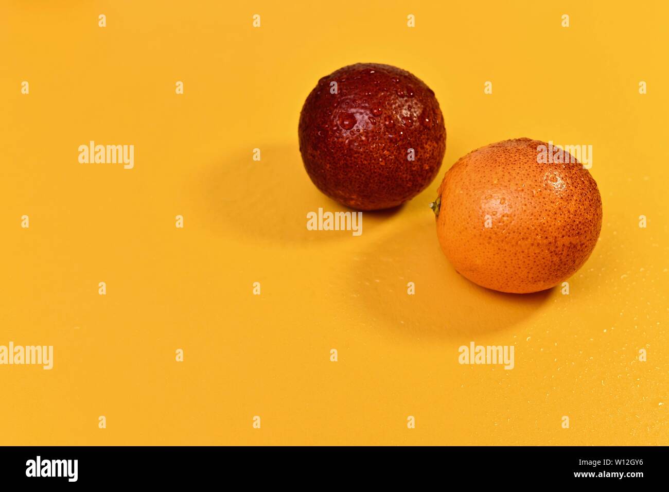Zwei rote runde Orangen, nass vom Wasser, mit Schatten 7a einen gelben Hintergrund. Auf der rechten Seite oben. Stockfoto