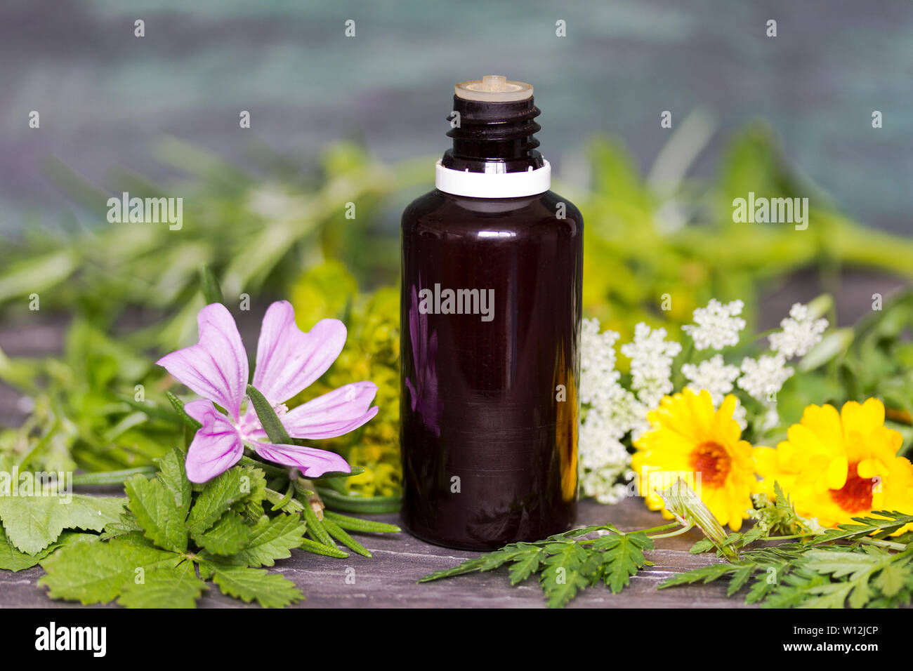 Alternative und komplementäre Medizin. Ätherische Öle und medizinische Blumen Kräuter Stockfoto