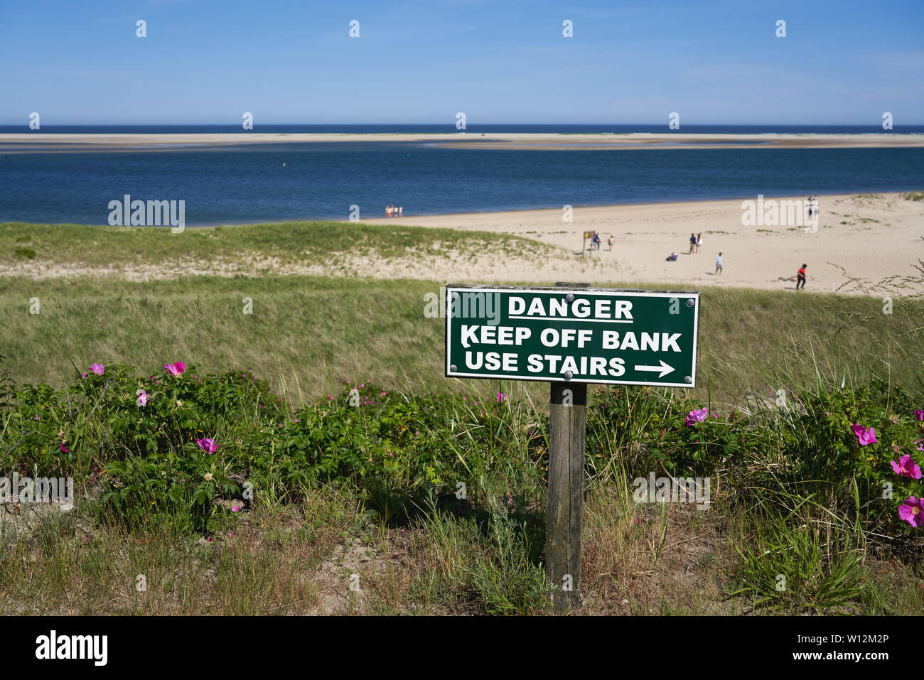 Warnschild auf der Bank über Lighthouse Beach in Chatham, Massachusetts mit hellen rosa Strand Rosen im Dune Grass und Leute genießen den Strand Stockfoto