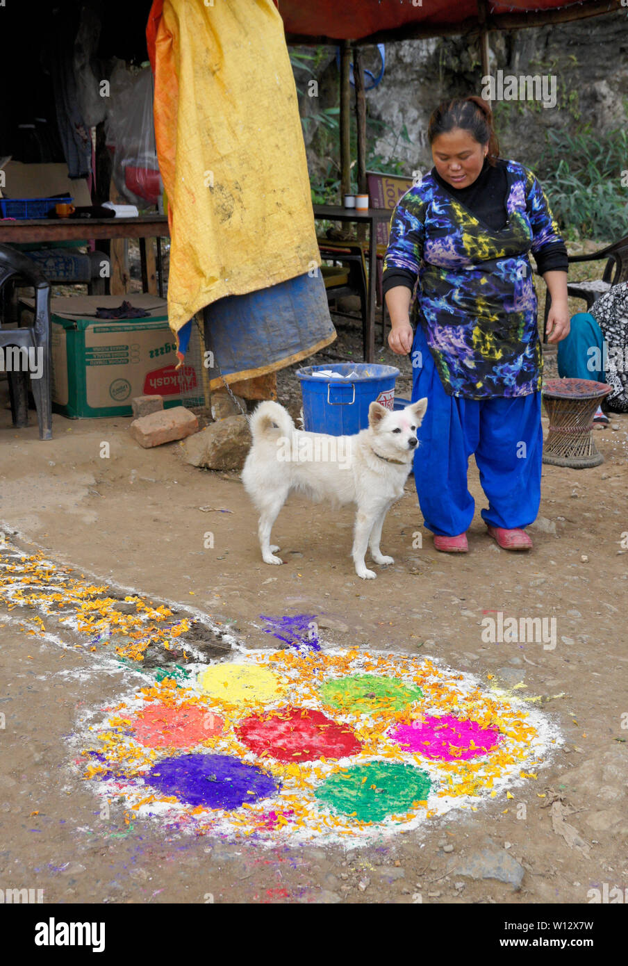 Ein traditionell gekleidete Frau und ein Spitz Hund im Freien stehen ein strassenrand Restaurant dekoriert mit farbigem Pulver und Blumen Diwali zu feiern. Stockfoto