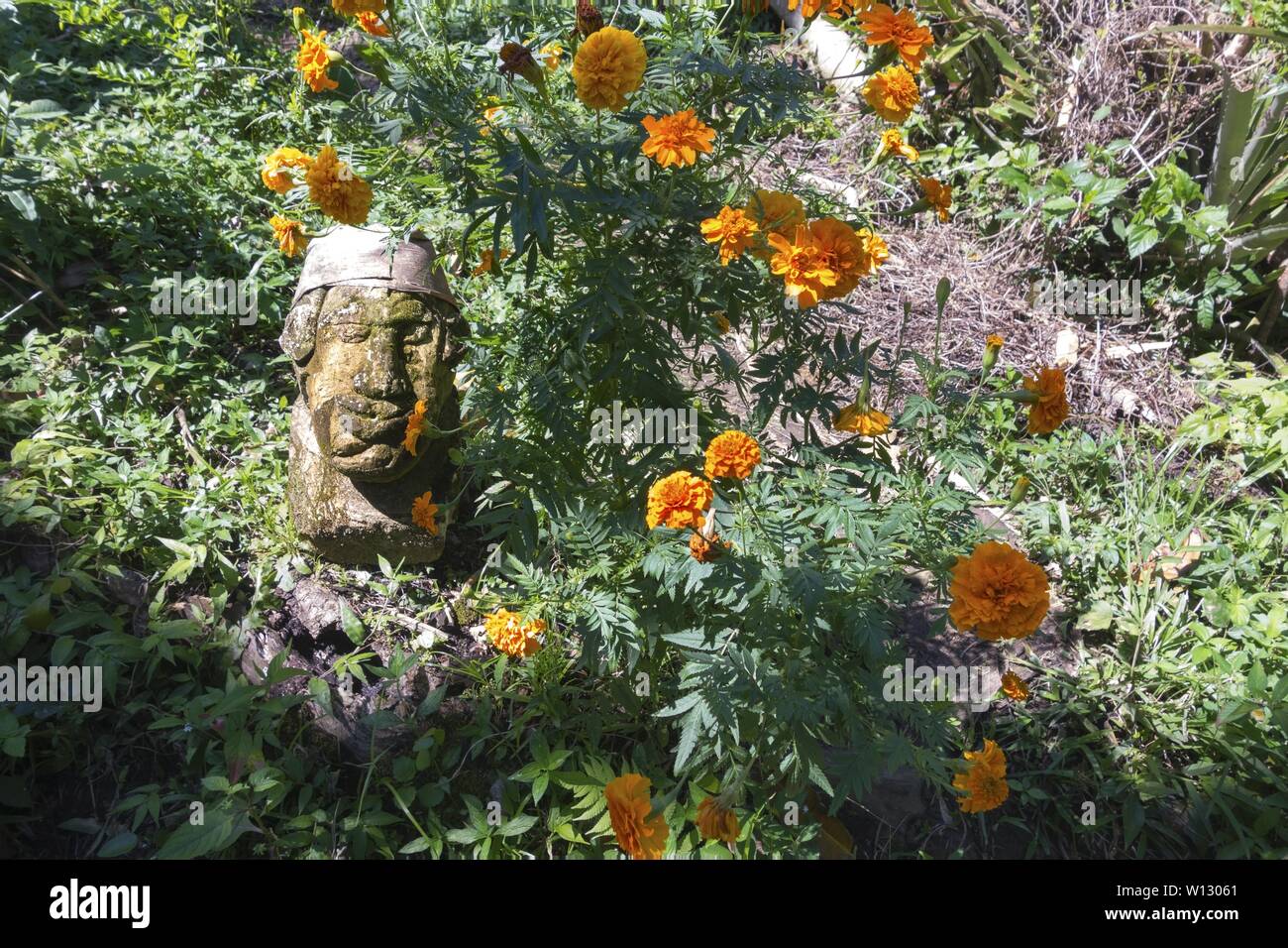 Alte steinerne Kopf Skulptur liegt im Grünen einer üppigen tropischen Vegetation im El Yunkque Berg über der Stadt Baracoa, Kuba Atlantische Küste Stockfoto