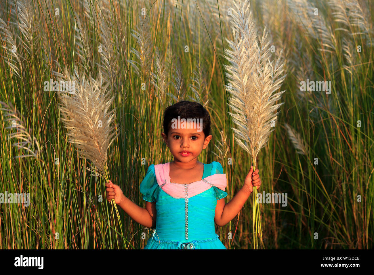 Ein Mädchen hält ein Bündel Saccharum spontaneum oder Kashful an Keraniganj am Stadtrand von Dhaka, Bangladesch. Stockfoto