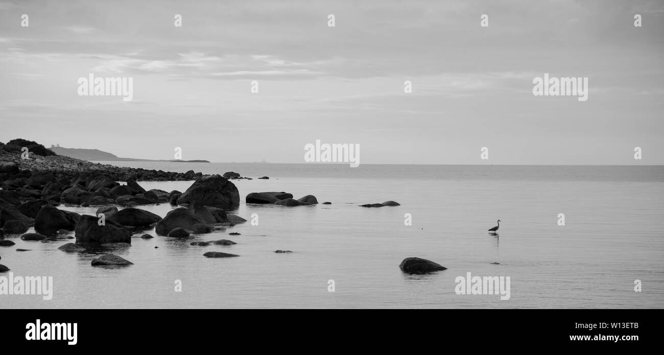 Horizont Blick von Alnes, Norwegen. Stockfoto