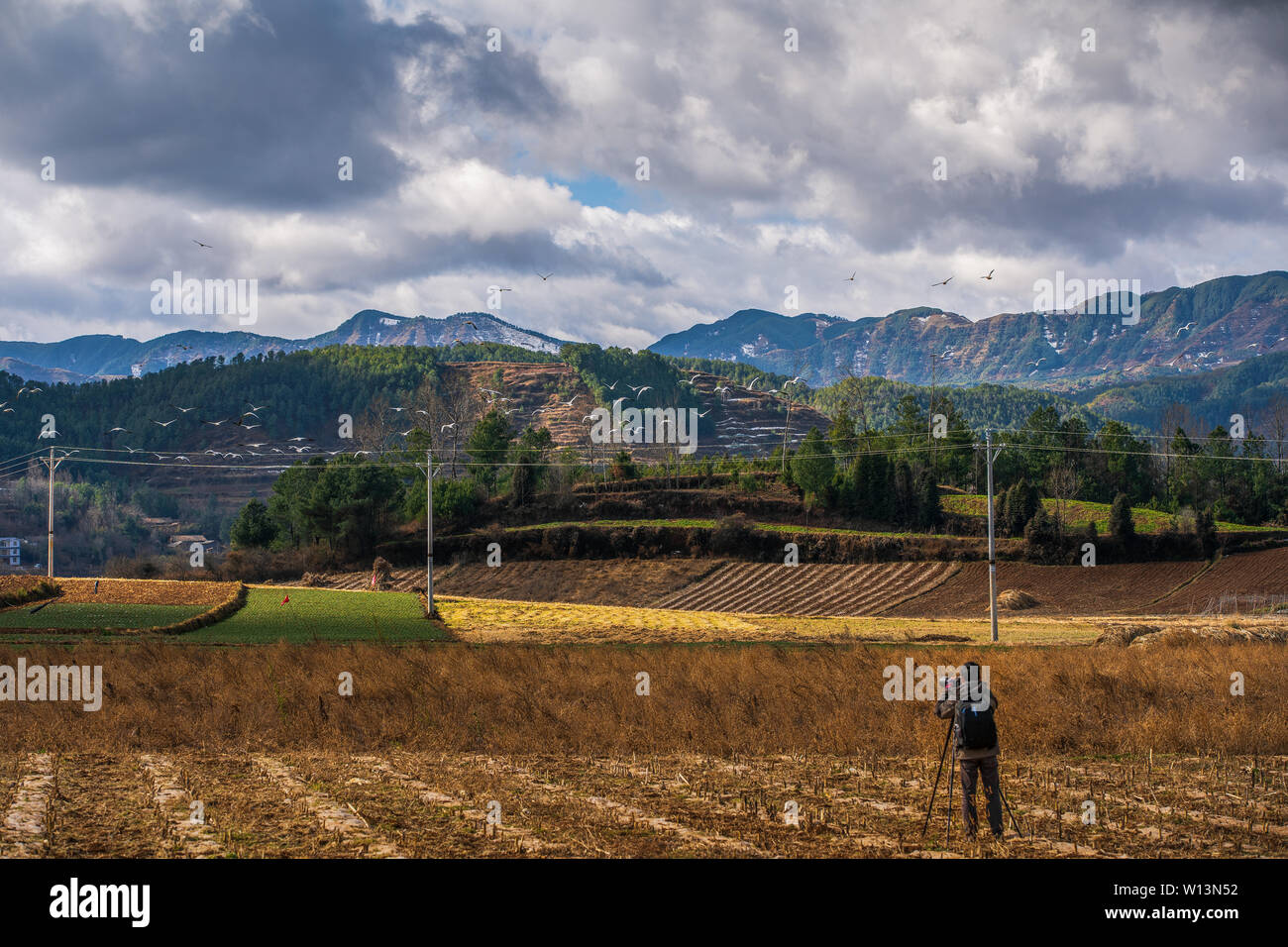 Qiao Township, Huizawa County, Qujing, Provinz Yunnan, im Winter, Gruppen von Black-necked Krane kommen, um hier zu überwintern, und fotografie Enthusiasten auch hier sammeln. Stockfoto