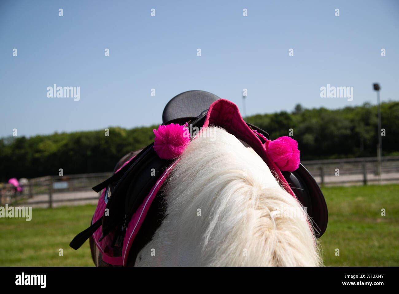 Seeburg, Kent. Samstag 29 Juni 2019, Fahrt für das Leben am Tor der Zünfte. Rosa Bommeln auf Reiter Sattel für die Charity Event. Stockfoto