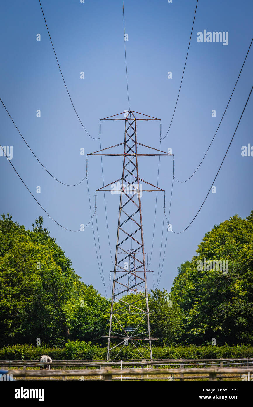 Pylon holding Kabel der National Grid über dem Boden Stockfoto