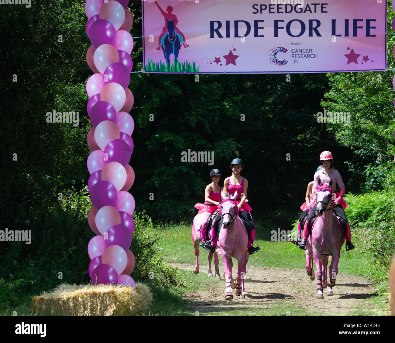 Seeburg, Kent. Samstag 29 Juni 2019, Fahrt für das Leben am Tor der Zünfte. Reiter tragen rosa, eine Nächstenliebe, die Fahrt Geld für Krebsforschung. Stockfoto
