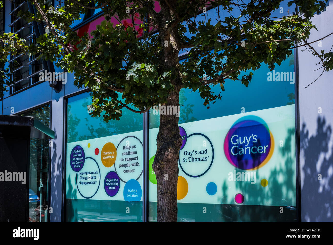 Guy's Hospital, Guy's and St. Thomas' NHS Foundation Trust, Bermondsey, Stadtteil Southwark, London, England, Großbritannien Stockfoto