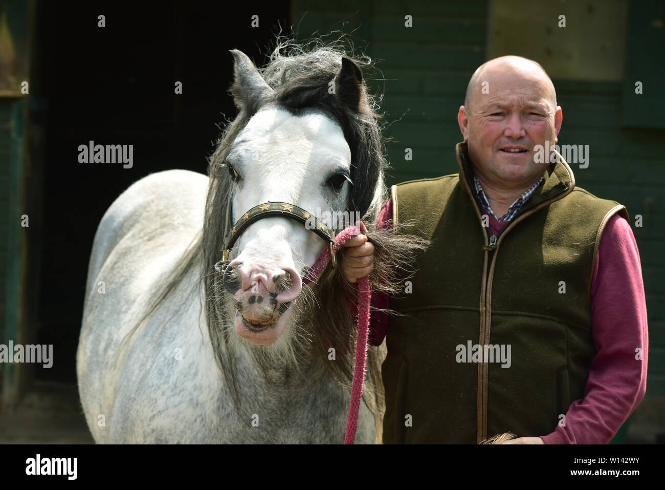 Roma Traveller Tom Price in Pencoed mit seinem Partner Luanne und Tochter Maggie. Er ist auch dargestellt an seinem Haus mit Galway Boss Stockfoto