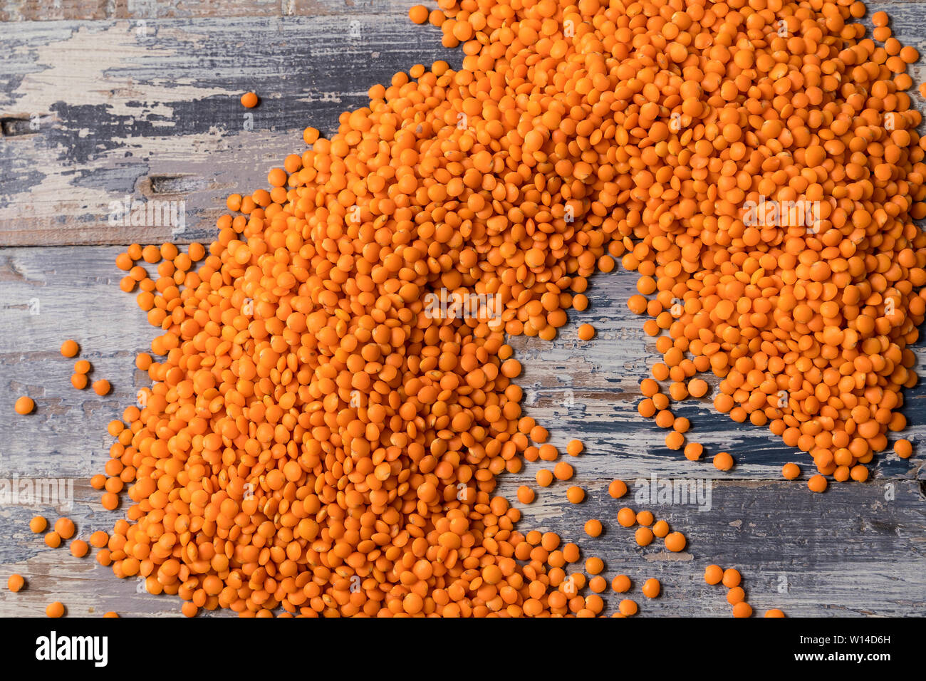 Flach mit kleinen orange Linsen Samen der jährlichen Legumen plant, pflanzliches Protein über blauen Hintergrund. Stockfoto