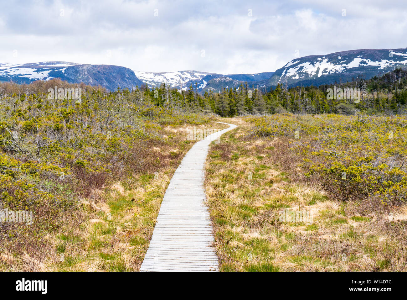 Trail im Gros Morne National Park, Neufundland, Kanada Stockfoto