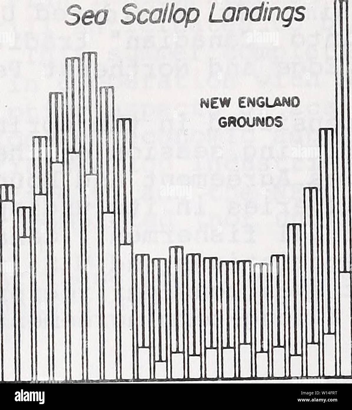 Archiv Bild von Seite 13 der Entwicklung und Evolution der. Entwicklung und Evolution von das Meer Jakobsmuscheln Fischerei management plan. developmentevol 00 pier Jahr: 1983 12 IST - &Lt;5 12" - o o Meer Sco//op-Landungen Q 10 c 6 3 o 56 57 58 59 60 61 62 61 64 65 66 67 68 69 70 71 72 73 ' " ' 5 76 77 vean MI 0 - Atlantik GRUNDSTÜCK: i-y. Nnnnnnn nnnnn 56 57 58 59 60 61 62 63 64 65 66 67 68 69 70 71 72 '3 4 T." 6 ABBILDUNG 3. Insgesamt berichtet der USA und Kanadas meer Jakobsmuscheln Landungen (metrische Tonnen, Fleisch) von Georges Bank und den Mid-Atlantic Fischgründe, 1956-1977. Die oberen Teile der Bars gesäumt von r Stockfoto