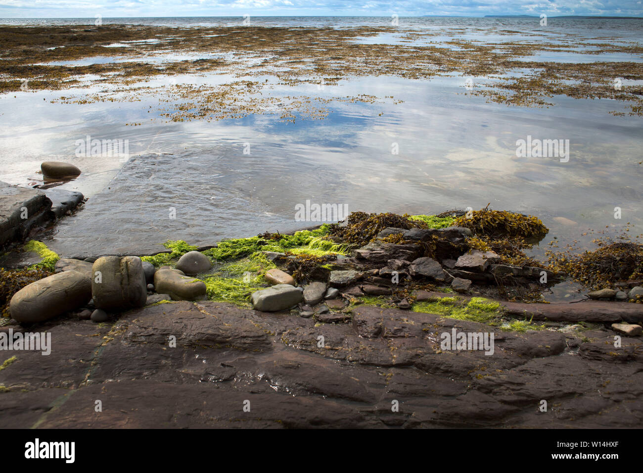 Newark Bay, Orkney Inseln, Schottland, Großbritannien Stockfoto
