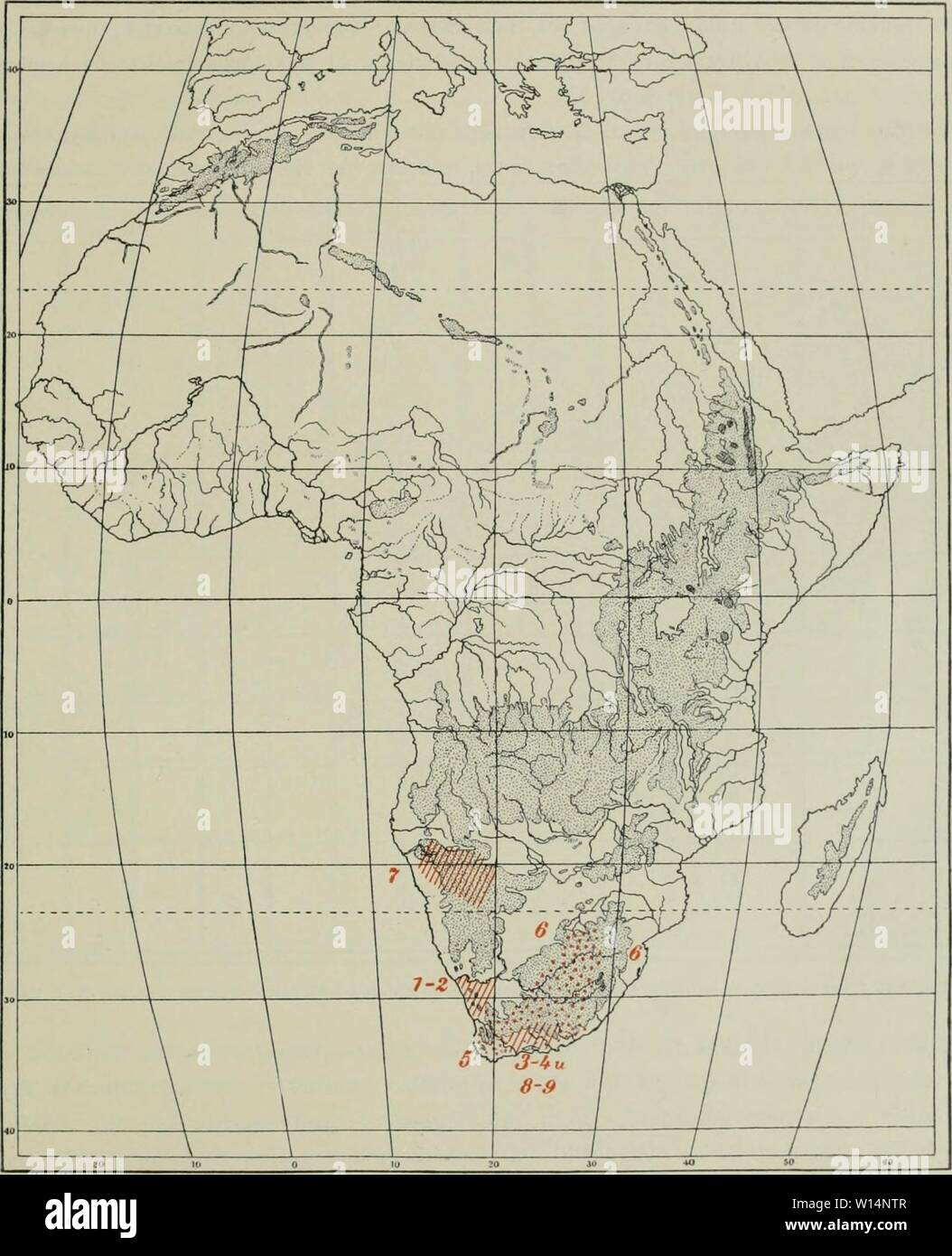 Archiv Bild von Seite 22 der Bienen Afrikas nach dem Sterben. Bienen sterben Afrikas nach dem Stande unserer heutigen Kenntnisse. diebienenafrikas 00 frie Jahr: 1909 jg Bienen Afrikas nach dem Stande unserer heutigen Kenntnisse. loi Familie Stelidinae sterben; sie schmarotzt bei großen Megachile-Äxten (M.-Guineensis für Euaspis abdominalis und M. Felina vielleicht für Euaspis Euaspis rufiventris; beide fliegen einer Akazie horrida). (Ein 'ergl. Karte lo.) Eine weitere Schmarotzerbiene Omaehthes ist kaum näher bekannt geworden. Karte ll. Endemische Arten der Apidae für Südafrika. f Colletes sfhultxei Friese Stockfoto