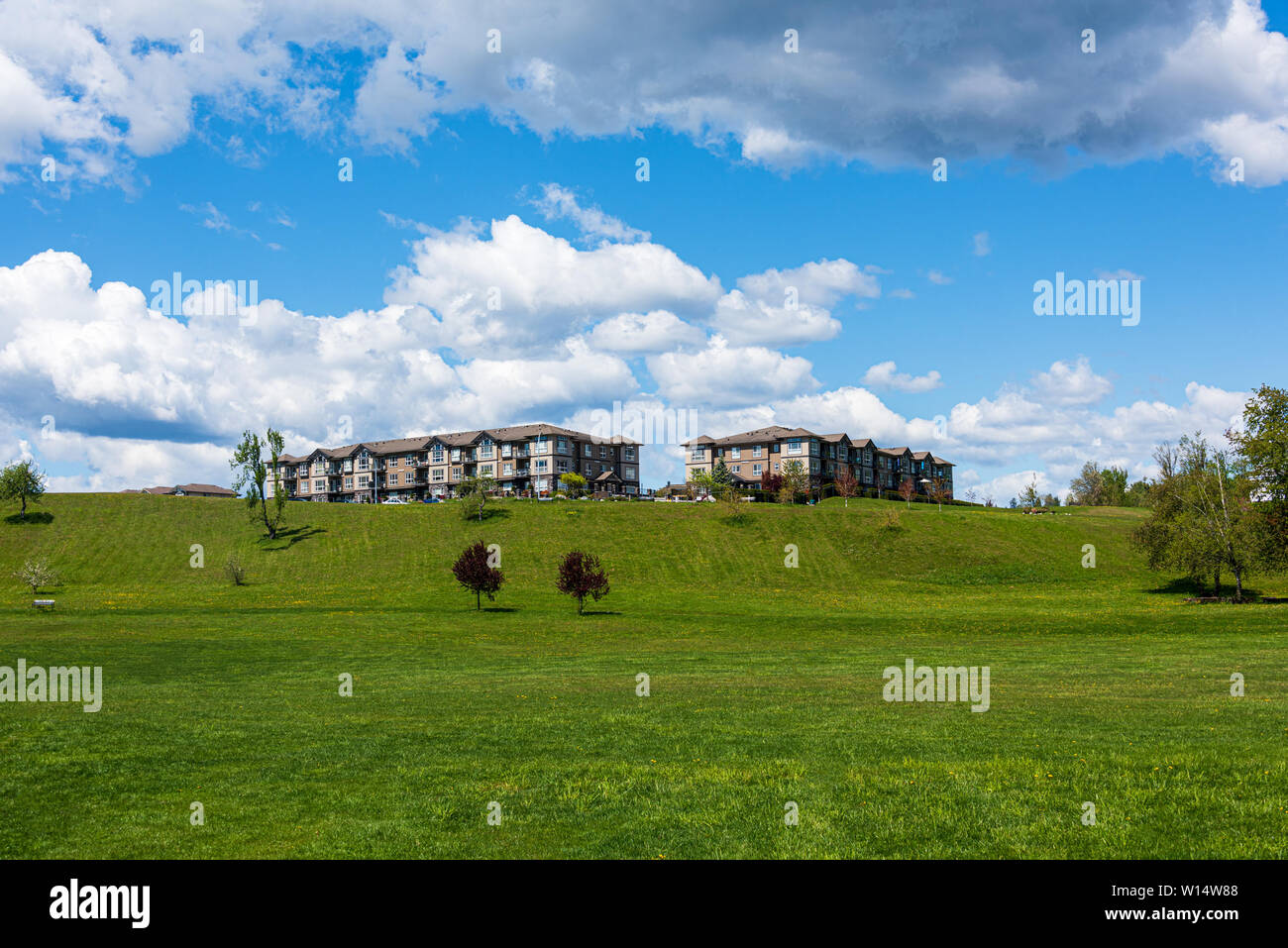 Riesige grüne Rasen eines Parks vor Wohngebäude Wohngebäude Stockfoto