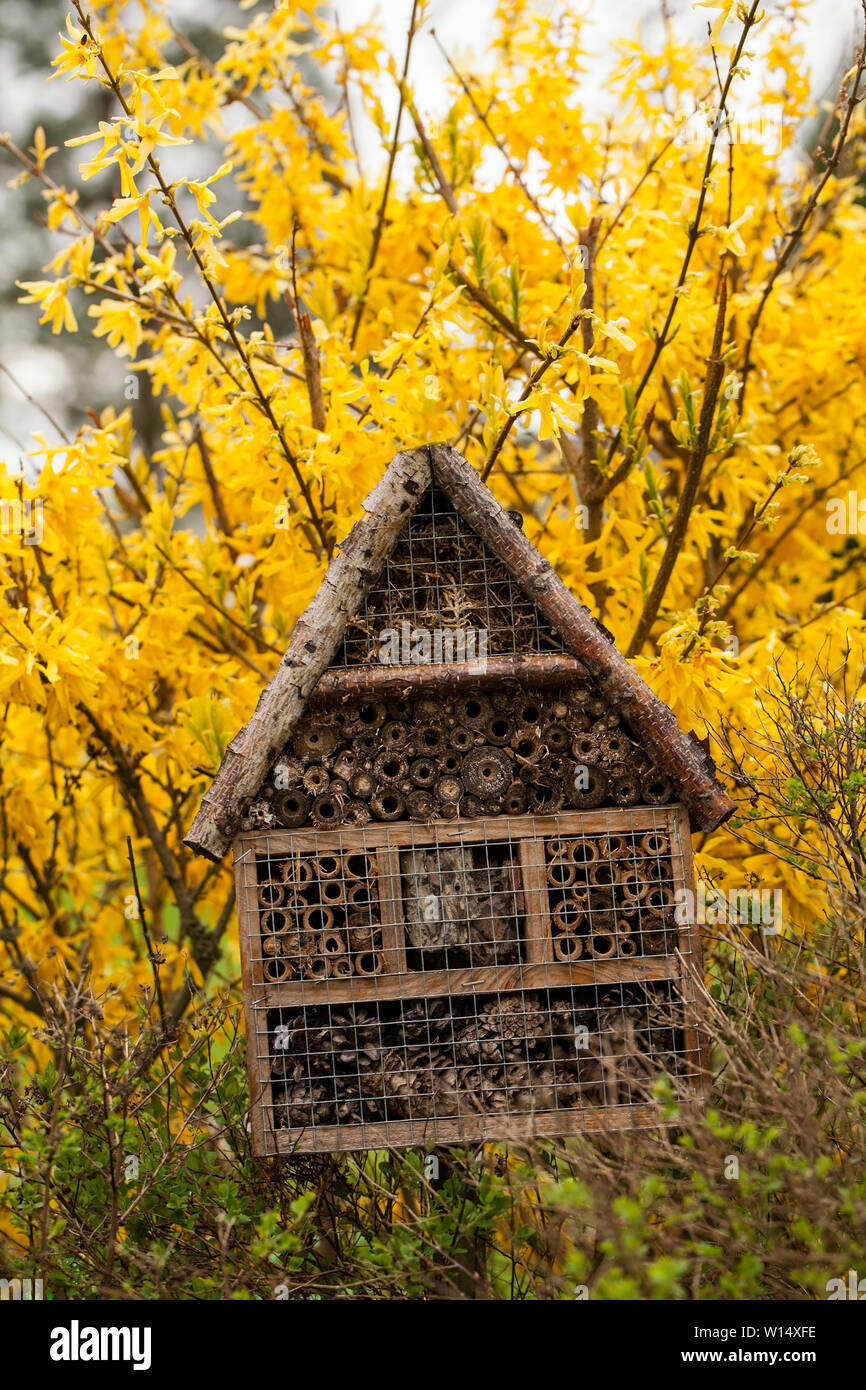 Insekt Haus - Hotel in Spring Garden Stockfoto