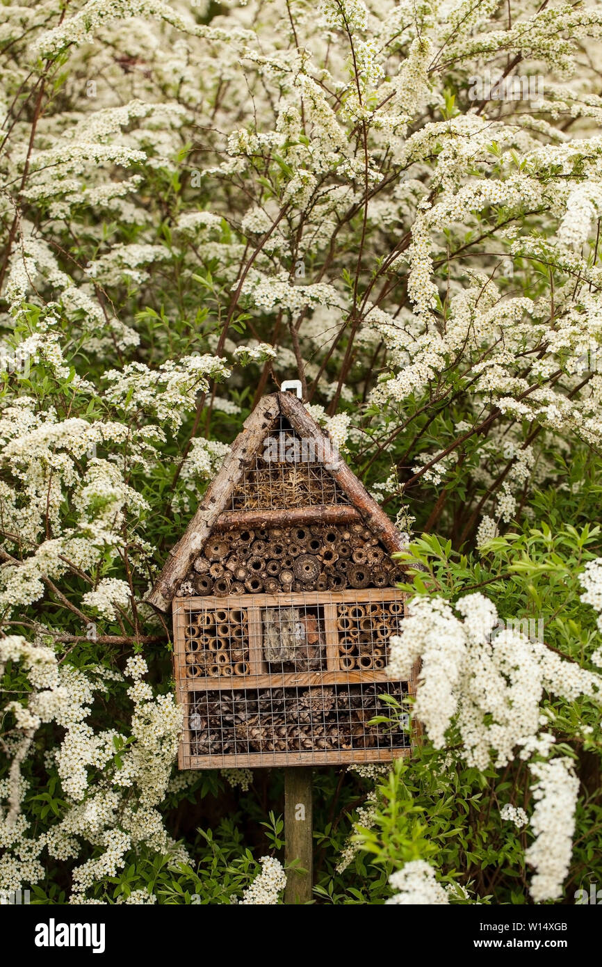 Insekt Haus - Hotel in Spring Garden Stockfoto