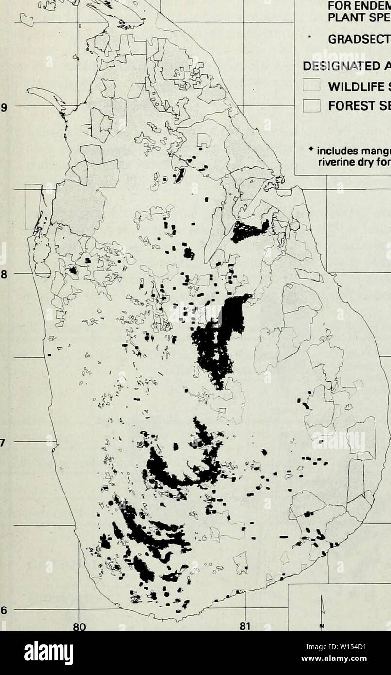 Archiv Bild ab Seite 112 Der Entwurf einer optimalen geschützte Bereiche. Entwurf einer optimalen Schutzgebiete System für natürliche Sri Lanka's Wälder. Band 1. designingoptimum 01 iucn Jahr: 1997 ICH endemischen Gehölzen von Sri Lanka. 4 Wn. Enthält Mangrove und riverine trockenen Wäldern. Taste geschlossene Haube WÄLDER WÄLDER WICHTIG FÜR ENDEMISCHE HOLZIGE PFLANZENARTEN GRADSECT GRUNDSTÜCKE ausgewiesenen Bereichen "WILDLIFE SEKTOR □ FORSTSEKTOR 82 FYojoction Lambert Azimutal, CM 81 Grad, Lat von Centra Proj 8 Grad n 50 100 km ich Fabniary 1997 Abbildung 6.4 Minimale Netzwerk zusammenhängender Wälder, in denen alle 455 endemi Stockfoto