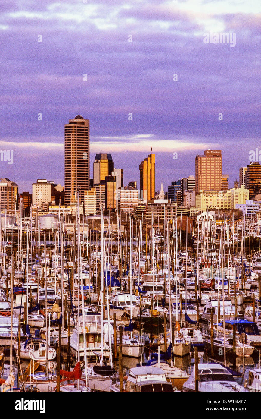 Neuseeland, Auckland. Einem überfüllten Hafen voller Yachten, mit den Hochhäusern des Geschäftsviertels im Hintergrund. Foto November 1989. P Stockfoto