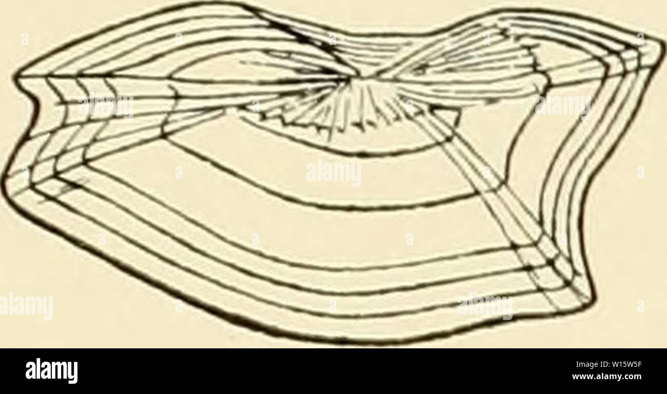 Archiv Bild von Seite 182 Die Beteiligung Deutschlands an der. Die Beteiligung Deutschlands an der internationalen Vollständigen: Jahresbericht. diebeteiligungde4508 5Mose Jahr: 1905 Tafel Y B i. op. Stockfoto