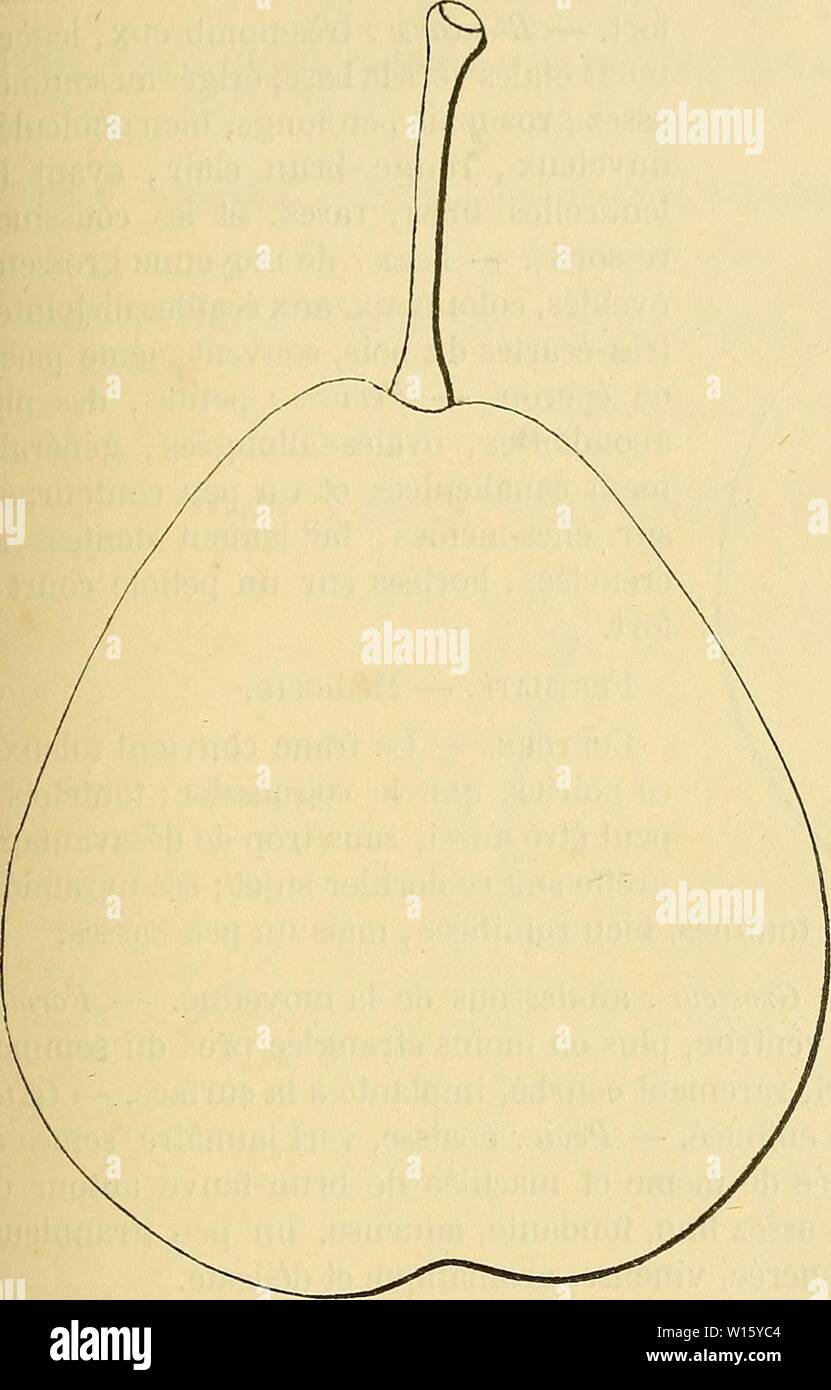 Archiv Bild von Seite 192 Wörterbuch de pomologie Contenant. Wörterbuch de pomologie: Contenant l'histoire, la Description, la Abbildung des Früchte Früchte anciens et des modernes les plus gÃnÃralement connus et cultivÃs. dictionnairedepo 002 lero Jahr: 1867 für 185 n'a 1611, De ce-Obst, que sa seule dÃnomination, et que depuis Lui aucun de nos xvne pomologues du siÃ¨cle et du xvinÂ°n'en eine reparlÃ. Auf doit donc conclure d'un Tel. Silence sur une variÃtÃ Poire Forelle. Â DeuxiÃ¨me Art. aussi mÃritante, que l'auteur qui l'a signalÃe Chez Nous en 1670, l'a fait Sans Doute d'Après-ski quelq Stockfoto