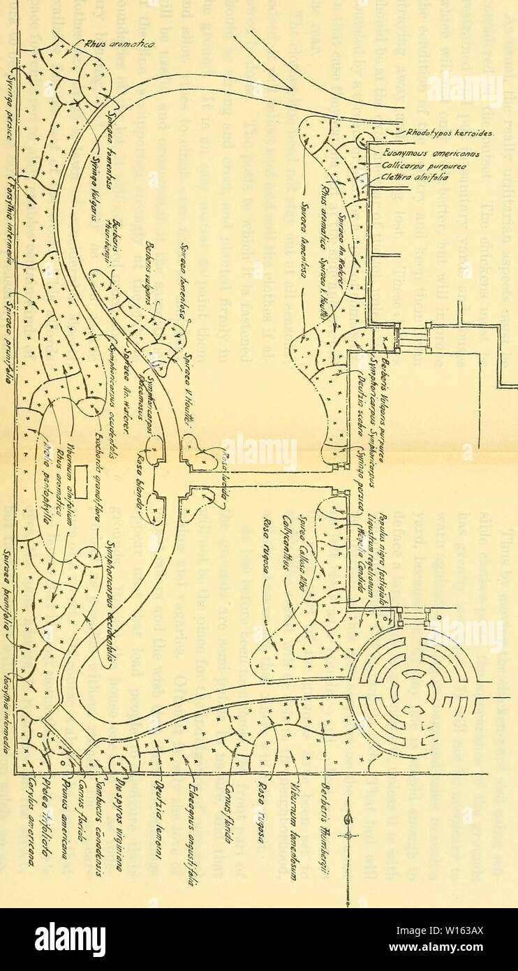 Archiv Bild von Seite 208 des Designs in der Gartengestaltung (1914). Design im Gartenbau. designinlandscap 1914 root Jahr: 1914 Bho (/aryfios ffmcfco karroUts '/Nous/IAS Stockfoto