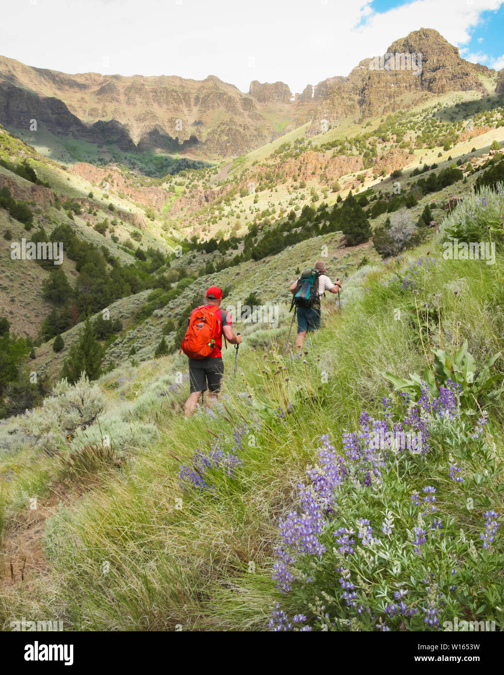 Wandern in Richtung Steens Mountain an der Pike Creek Trail in der Nähe des östlichen Oregon Alvord Wüste Stockfoto