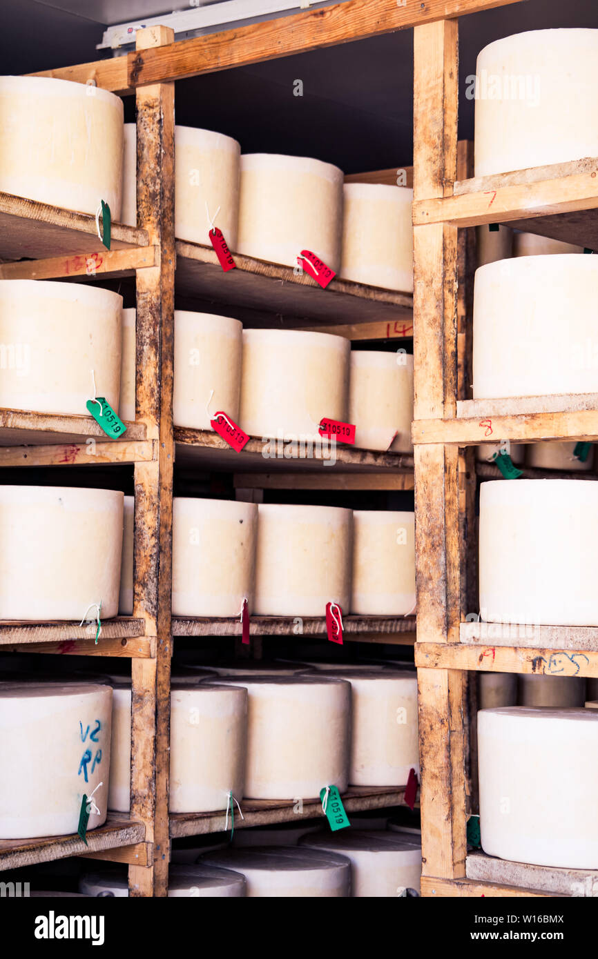 Stoff-gebundenen truckles von Cheddar in Quickes Käse, Devon, UK fällig werden. Eine traditionelle kleine handwerkliche Milchprodukte und Käse Teekocher im Jahre 1540 gegründet Stockfoto