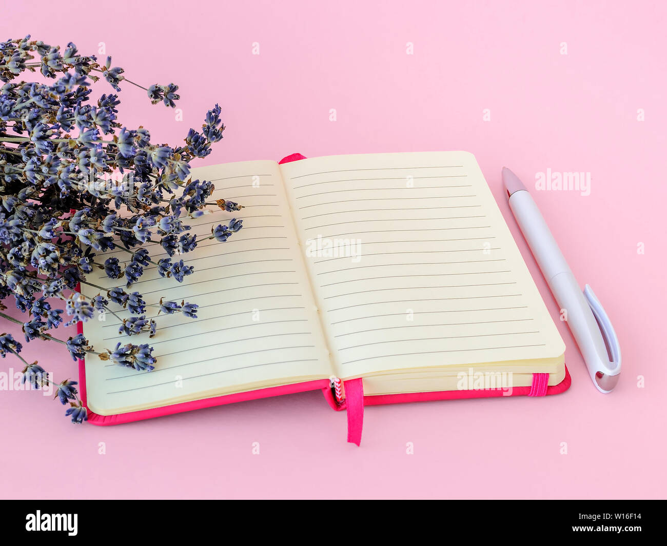 Fragrant Bouquet von trockenen Lavendel mit kleine lila Blumen auf einer geöffneten Papier notepad in einem rosa weiß Kugelschreiber auf einem Pastellrosa backgro Stockfoto
