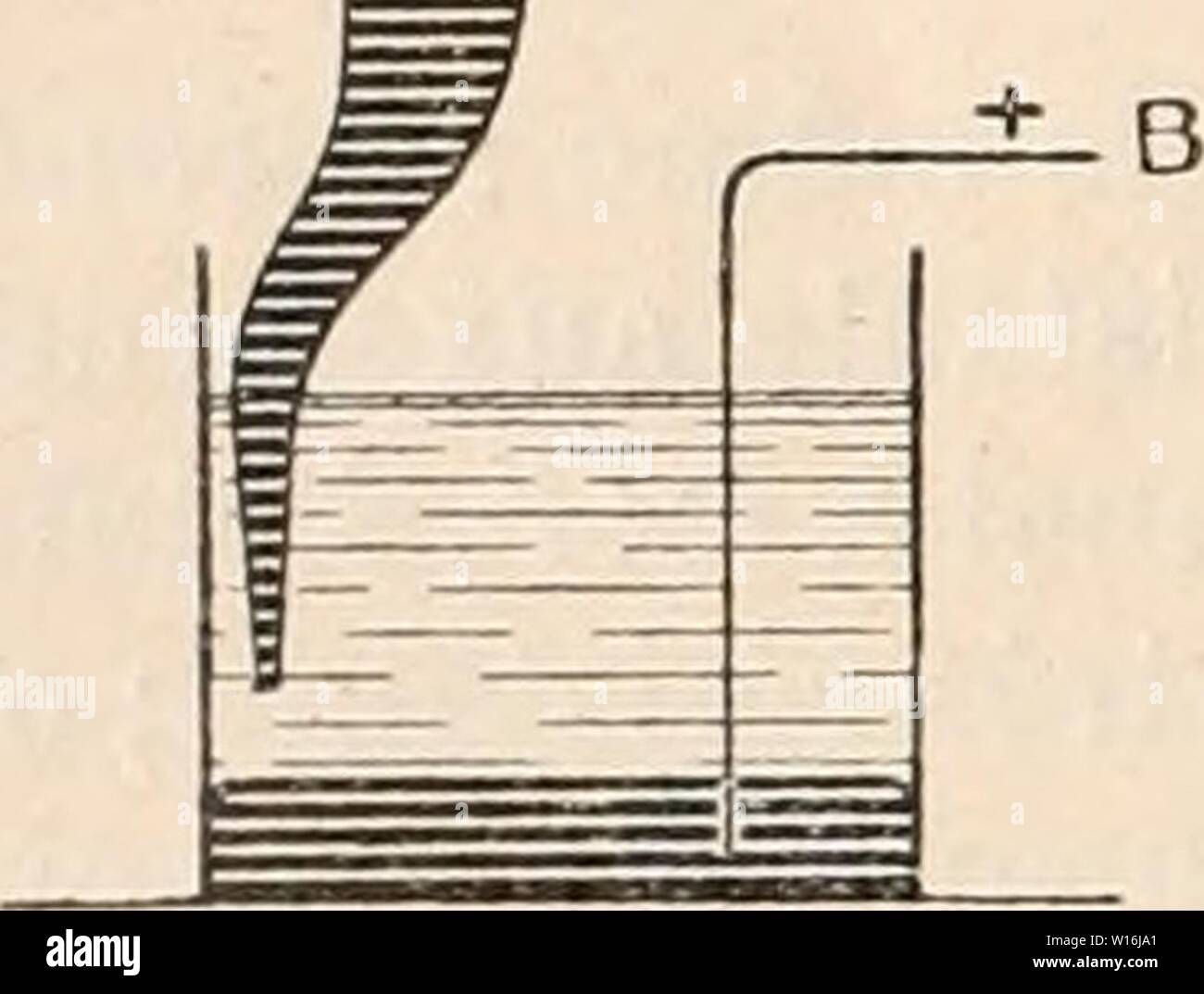 Archiv Bild von Seite 297 Wörterbuch de Physiologie (1902). Wörterbuch de Physiologie. dictionnairedeph 05 reiche Jahr: 1902 288 ÃLECTRICITÃ. menant toujours le mÃªme mÃnisque au point par une Variation de pression. De la Sorte auf einer Le Moyen d'avoir une Relation s'appliquant à tous les Instruments, À condition qu'auf ait Eu-le Soin d'amener toujours La pression initiale À la valeur mÃªme. Voici cette Table pour la Pression initiale de 73 C. F. K. M. ACCROISSEMENT K.E.M.ACCROISSEMENT de Volt.de pression en Volt.de pression en Tres en centimÃ centimÃ ¨ ¨ Tres de Mercure.de Mercure. 0,016 Stockfoto