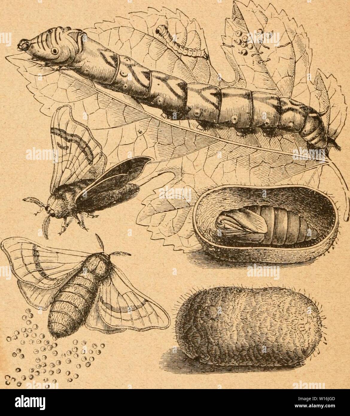 000 dm stockfotos und bilder kaufen