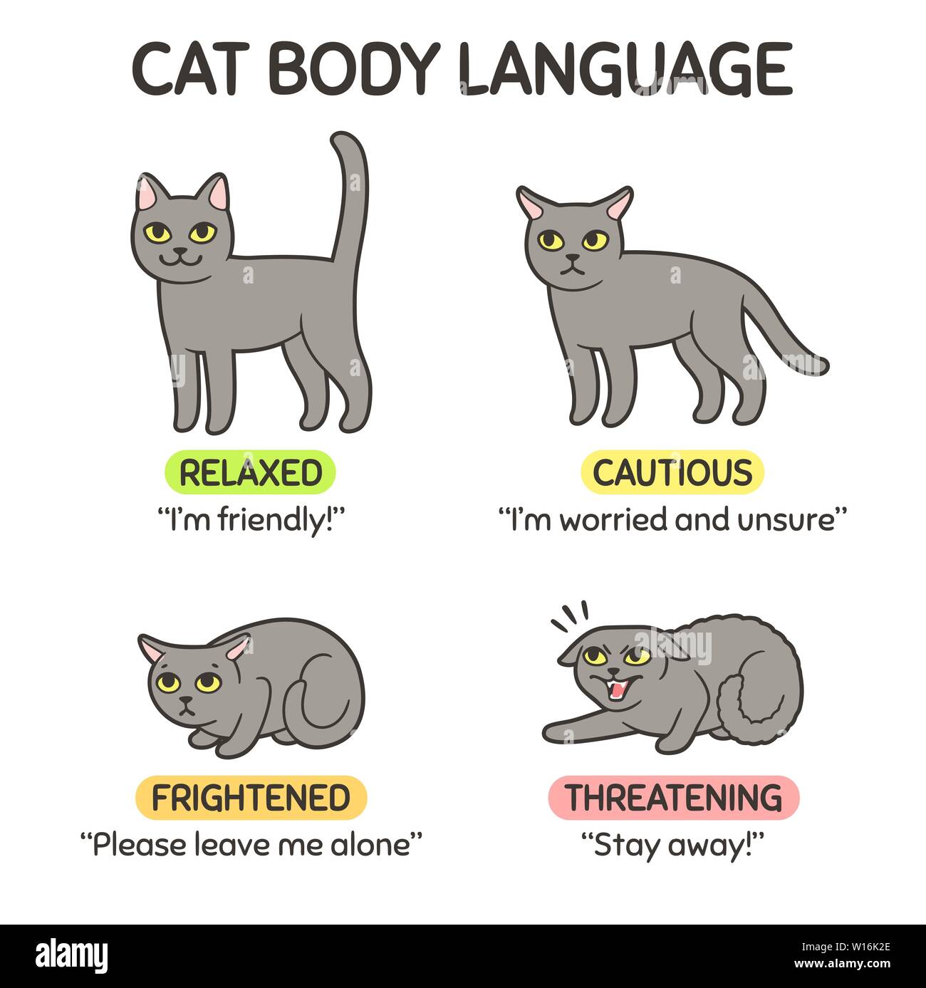 Katze Körpersprache Infografik Charts. Cat stellt verschiedene Emotionen: Angst, Wut, bemüht und freundlich. Vector Illustration. Stock Vektor