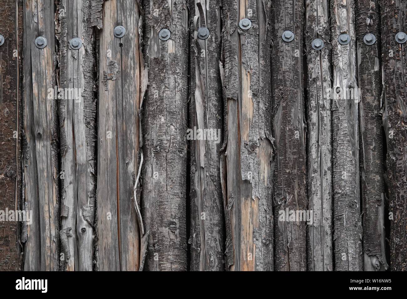 Eine Wand ist über die Äste von erstellt. Stockfoto