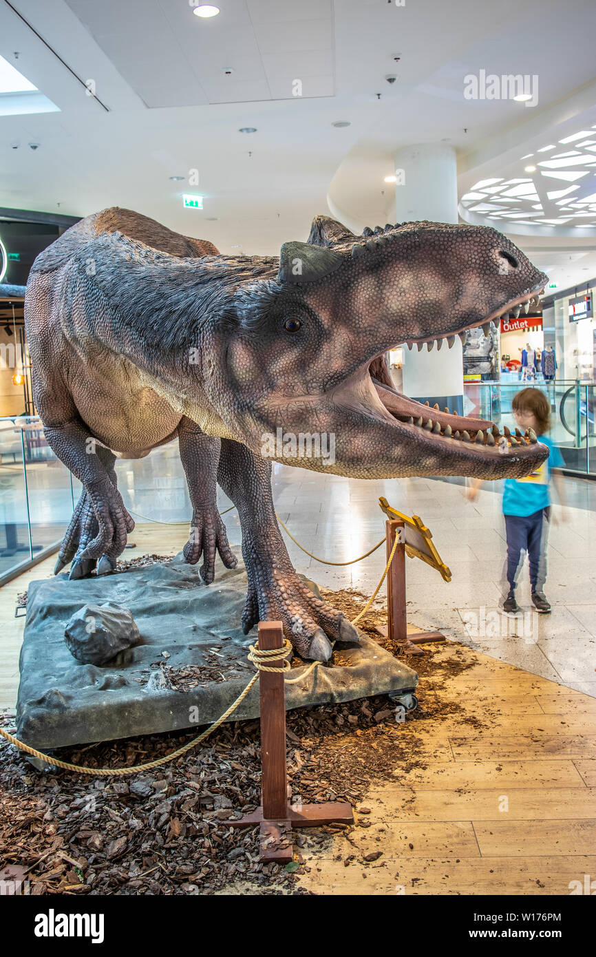 Lodz, Polen, Mai 2019 Allosaurus Dino, shopping Entertainment Center SUKCESJA, fleischfressende Theropode Saurier, Allosaurus fragilis, Allosauridae Stockfoto