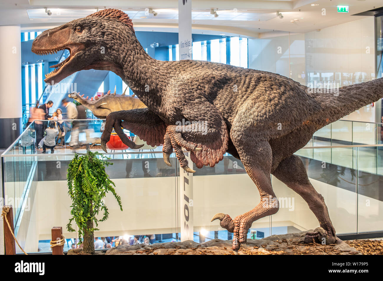 Lodz, Polen, Mai 2019 Utahraptor shopping Entertainment Center SUKCESJA, dromaeosauridae Theropode Saurier, Utahraptor ostrommaysi, Dromaeosauridae Stockfoto