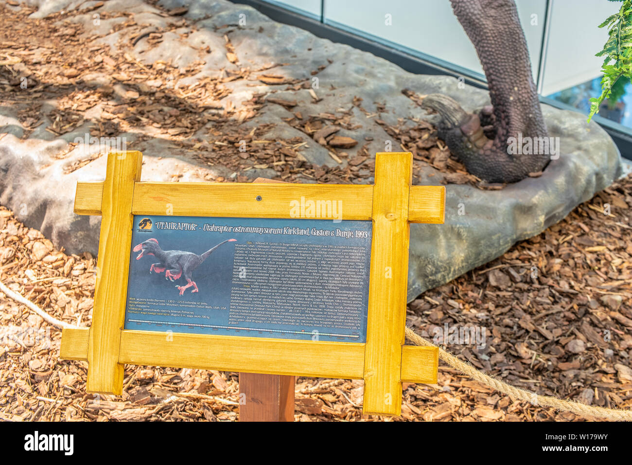 Lodz, Polen, Mai 2019 Utahraptor shopping Entertainment Center SUKCESJA, dromaeosauridae Theropode Saurier, Utahraptor ostrommaysi, Dromaeosauridae Stockfoto